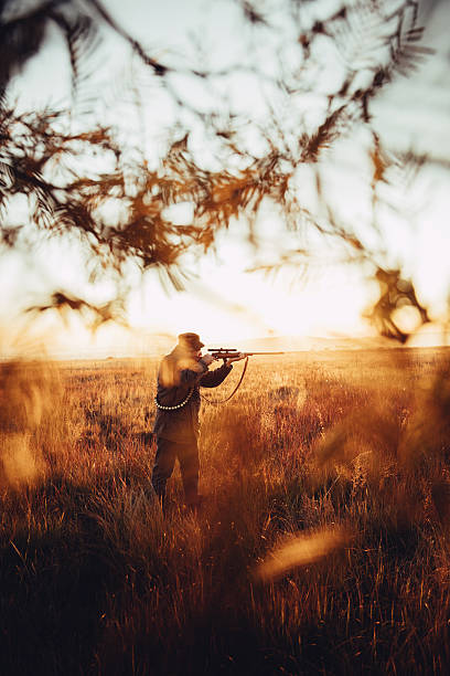 istock Hunter pointing with rifle on his prey in wilderness 545982154