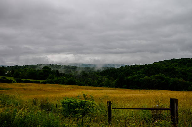 Niebla en el valle - foto de stock