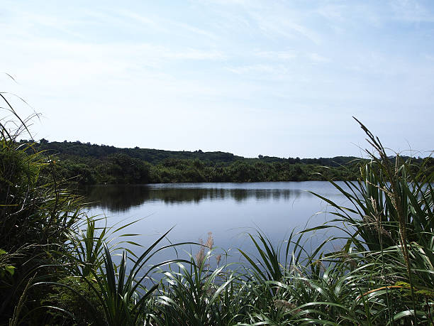 Oike lake in Kita-daito island(Okinawa, Japan) stock photo
