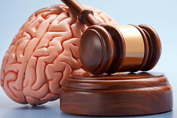 istock Gavel Resting On Model of Human Brain 545990680