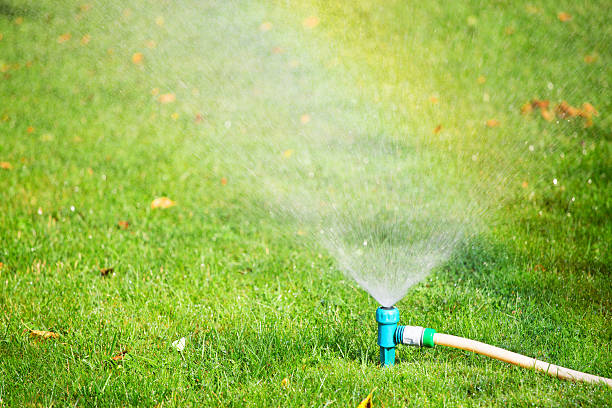 istock Water sprinkler spraying water on grass 545991408