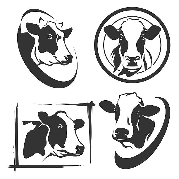 ilustrações, clipart, desenhos animados e ícones de etiquetas de cabeça de vaca definidas - fêmea de mamífero