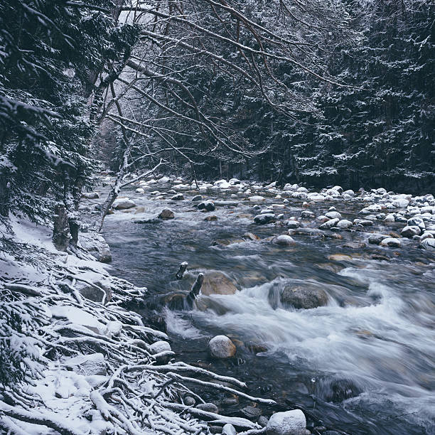 Beautiful snow covered forest and river in Caucasus mountains