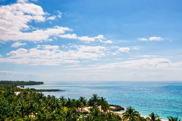 istock Coastline of the Bahamas 545995618