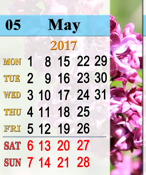 istock calendar for May 2017 with lilac bush 545996566