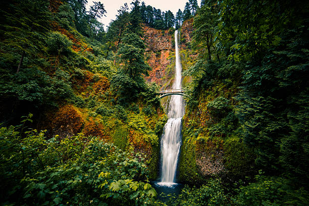 cataratas de multnomah, columbia river gorge, oregon - columbia oregon fotografías e imágenes de stock