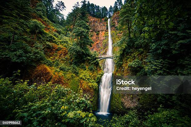 Photo libre de droit de Chutes De Multnomah Gorges Du Fleuve Columbia Dans Loregon banque d'images et plus d'images libres de droit de Chutes Multnomah Falls