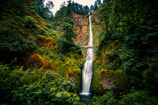 istock Multnomah Falls, Columbia River Gorge, Oregon 545998662