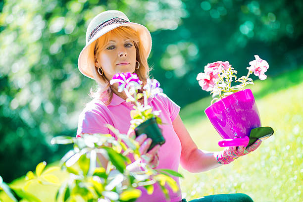 istock Gardener taking care of her plants 545999924