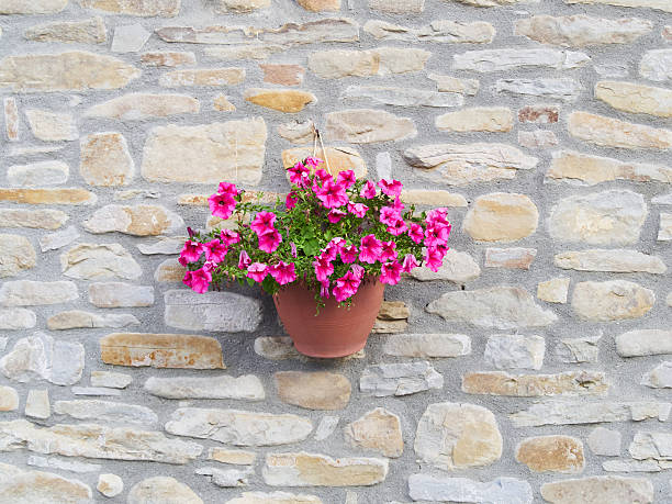 istock Bowl of  million bells (petunia) 546002814