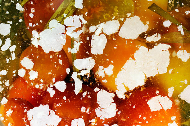 weiße pilze und schimmel in salzlake mit eingelegten tomaten - mildewed stock-fotos und bilder