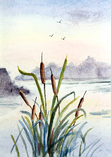 Watercolor painting of cattails with water and mountains vector art illustration