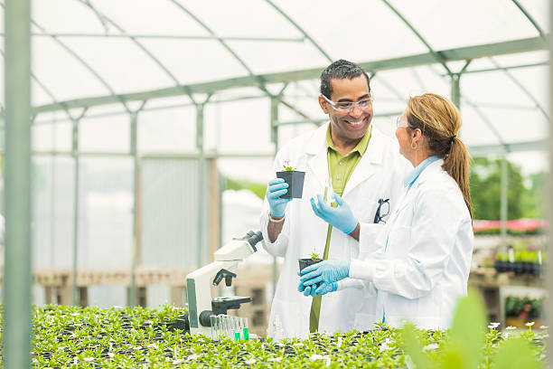istock Scientists smiling at each other while working in a greenhouse 546007260