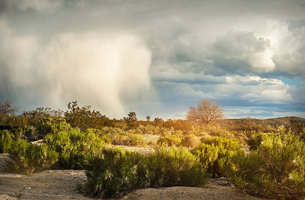 istock Dramatic Sky over the desert in sunset time. 546007926