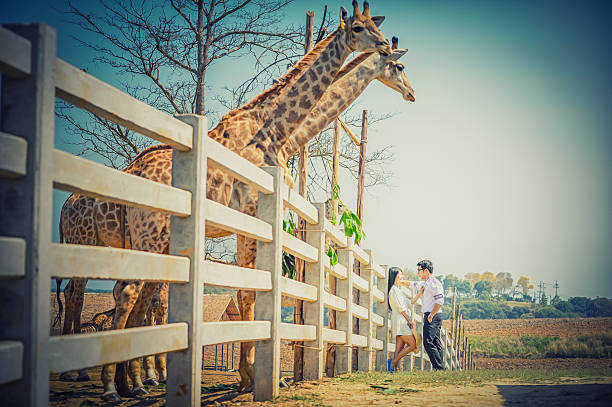istock Asia young Couple with giraffe 546009106