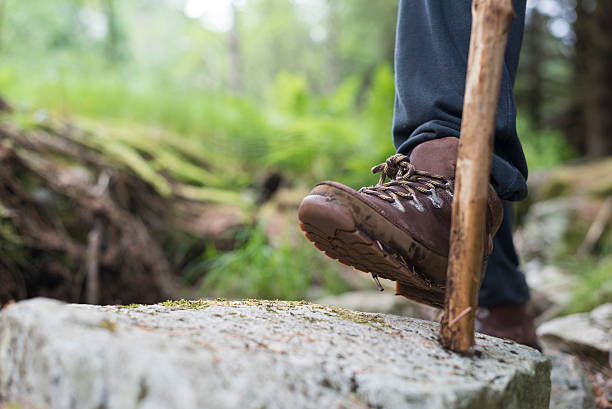 istock hiking in the woods concept, low angew view 546009218