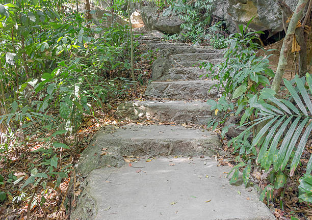 istock Stone walkway Steps leading to garden 546010474