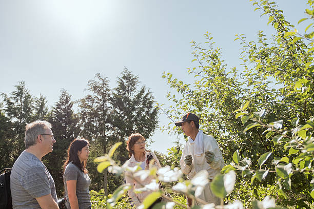 Farm Tour, Japanese Apple Farmer Teaching Tourists about Organic Methods
