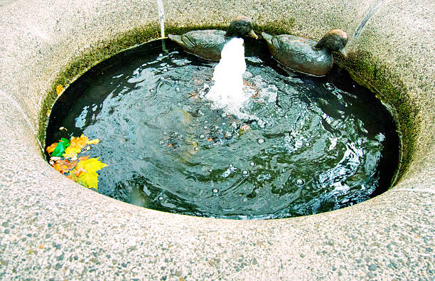 istock Pocket Fountain, Cast Stone Basin, Outdoors, No People, 3XL 546013806
