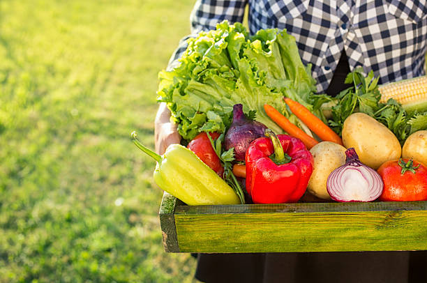 istock young farmer holding box with vegetables 546015510