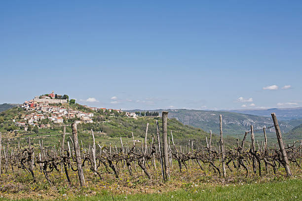 istock Motovun in Istria 546016118