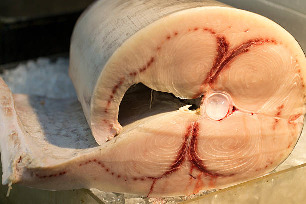istock Raw Tuna at Seafood Market 546018664