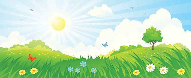 ilustrações, clipart, desenhos animados e ícones de panorama do nascer do sol de verão - backgrounds sunbeam horizontal spring