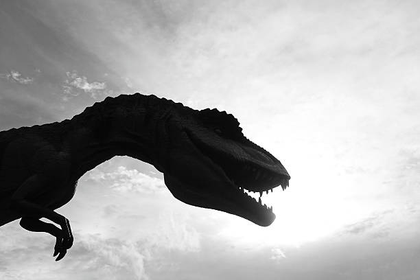 istock dinosaur adorable in nature silhouette 546020936