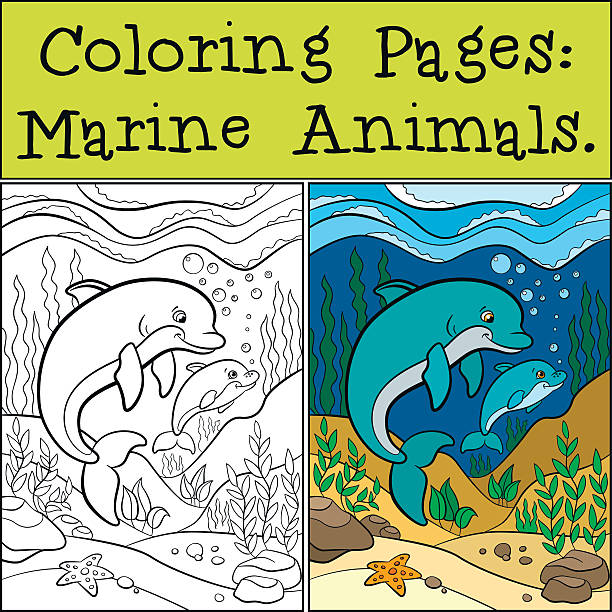 Coloring Pages Marine Animals Mother Dolphin With Her Baby Stock  Illustration - Download Image Now - iStock