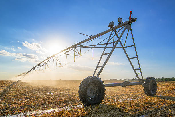 istock Agricultural irrigation on harvested wheat stubble field 546022640