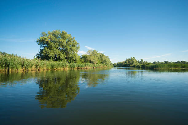 istock Kind on the river with green coast and clouds 546023810