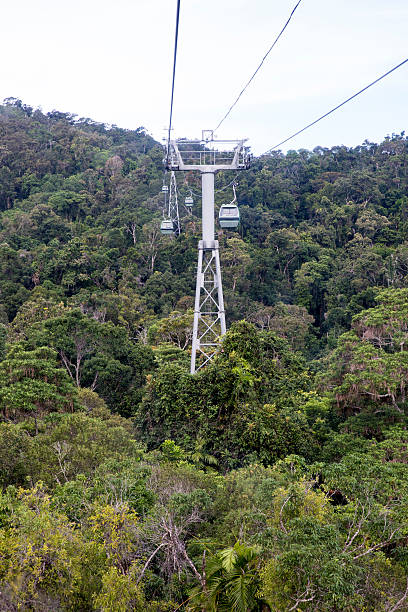 istock Skyrail Cairns. South of Barron Falls. 546023964