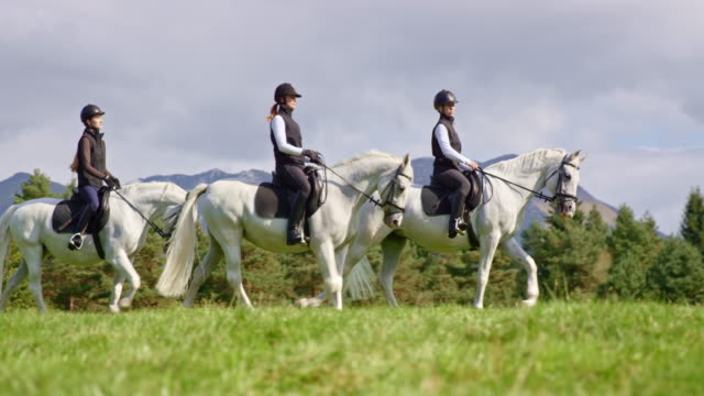 TS Three women enjoying horseback riding on mountain meadow