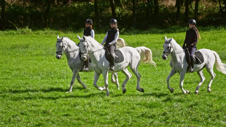 SLO MO TS Three women riding galloping horses across meadow