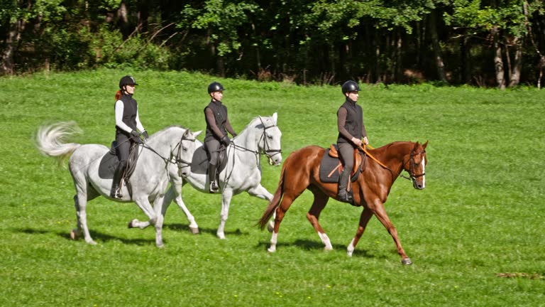 SLO MO TS Three women riding trotting horses across meadow