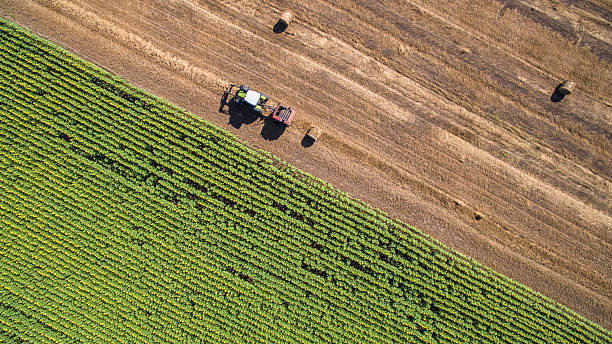 istock Straw Baler Machine on an Agricultural Field 546163180