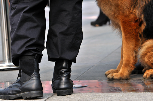 Chinese police with his dog on Tianfu Square of Chengdu,China