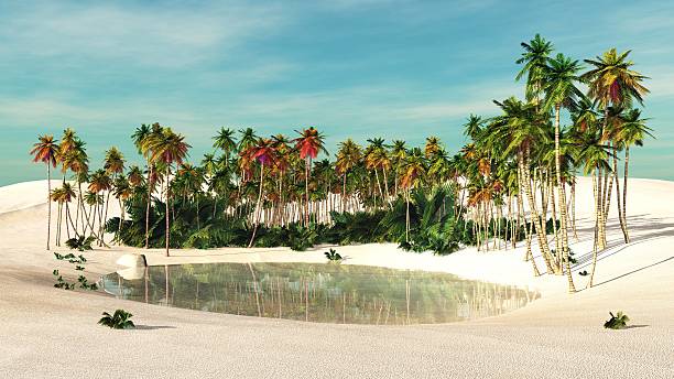 istock oasis. Palm trees near the water. 546169430