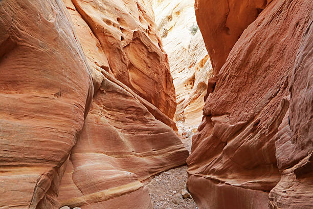 Little Wild Horse Canyon