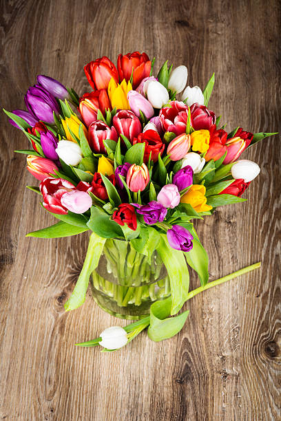 flores sobre fundo de madeira - bouquet tulip greeting card gerbera daisy imagens e fotografias de stock