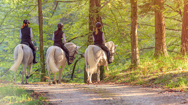 istock Friends horseback riding through forest 546173212
