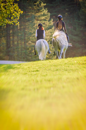 Two young women enjoying riding white  horses on meadow near forest, copy space.