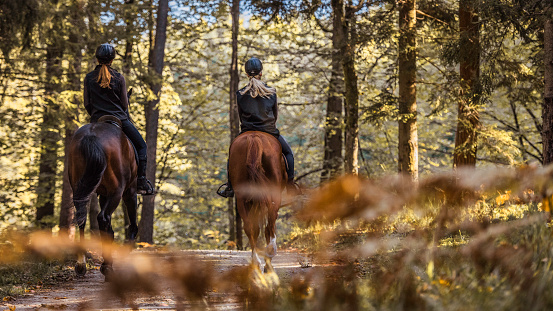 Two young women enjoying riding horses through forest.
