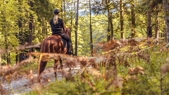 Young women enjoying riding a horse through forest.