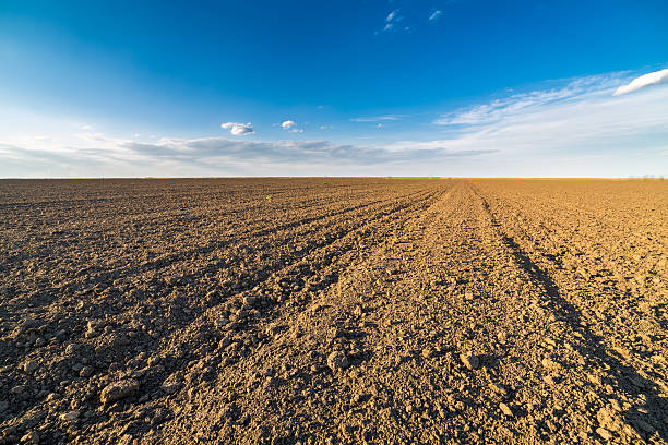 istock Agricultural landscape, arable crop field 546174914