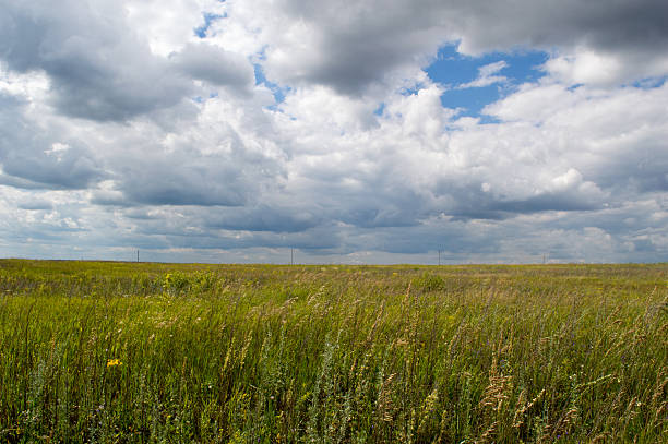 istock Agriculture field wheat road sowing sky landscape summer 546174990