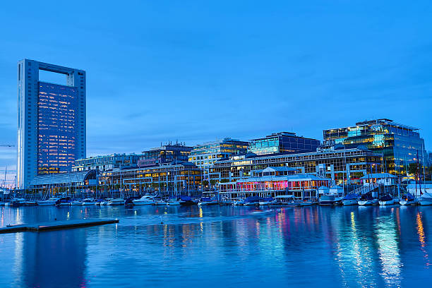 istock Puerto Madero in Buenos Aires 546175296