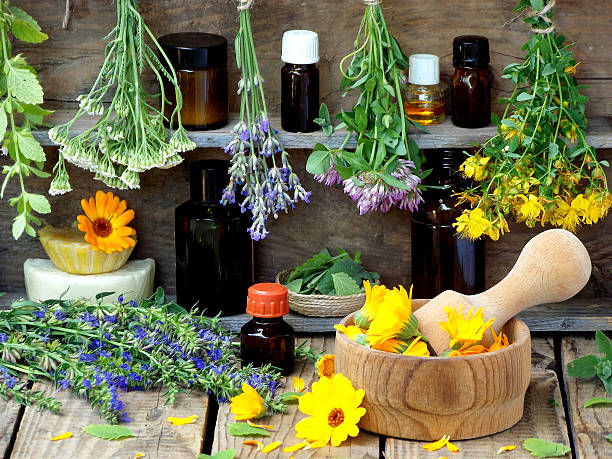 istock bunches of healing herbs, herbal medicine 546175612