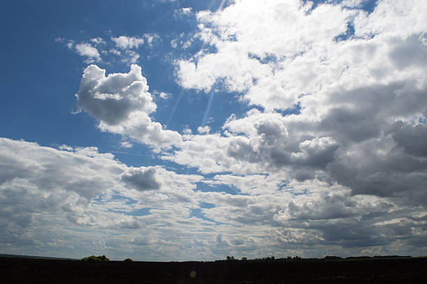 istock Agriculture field wheat road sowing sky landscape meadow 546176654