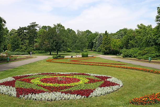istock botanical park Timisoara Romania 546179178